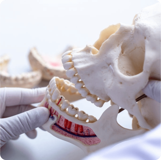 Maxillofacial Surgery Specialists in Kakinada