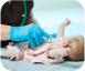 Neonatology: