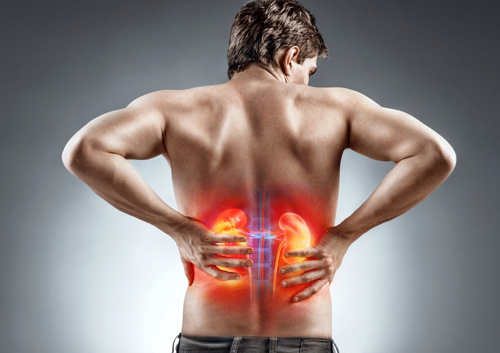 kidney-diseases-banner-bg-1