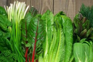 leafy-vegetables